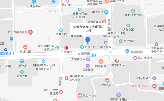 瑞派宠物医院（团城山院）D.jpg