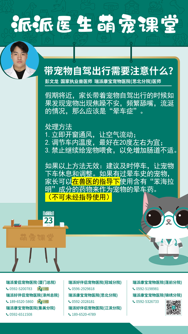 201223带宠物自驾出行需要注意什么？.jpg