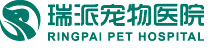 极速开赛车结果，最新记录数据|线上宠物赛车游戏