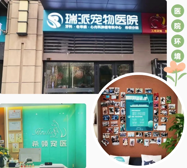 微信截图_20250606135254.png